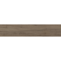 Керамогранит Monocibec Charm Brown Naturale 20x100