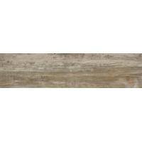 Керамогранит Monocibec Echo Fiemme Naturale Rettificato 24.6x100