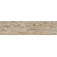 Керамогранит Monocibec Echo Gardena Naturale Rettificato 24.6x100