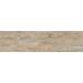 Керамогранит Monocibec Echo Gardena Naturale Rettificato 24.6x100