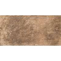 Керамогранит Monocibec Geobrick Canossa Grip 25x50
