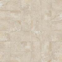 Керамогранит Monocibec Pietra Castello Burgos Grip 50x50