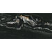 Керамогранит Navarti Leeds Negro 60x120
