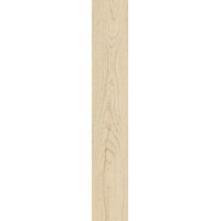 Керамогранит Naxos Alchymie Larix 20x120