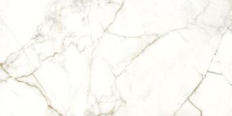 Керамогранит Naxos Rhapsody Emotion Natural 60x120