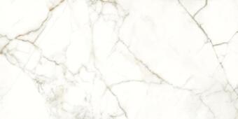 Керамогранит Naxos Rhapsody Emotion Polished 60x120
