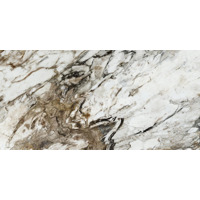 Керамогранит Naxos Rhapsody Fantasy Polished 60x120