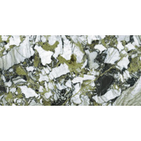 Керамогранит Neodom Belvedere Garden Green Polished 60x120