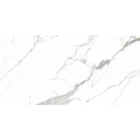 Керамогранит Neodom Belvedere Venatino Grey Fusion 60x120