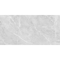 Керамогранит Neodom Belvedere Eva Grey Polished 60x120