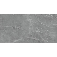 Керамогранит Neodom Belvedere Eva Gris Polished 60x120