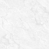 Керамогранит Neodom Marblestone Carrara Pearl Polished 120x120