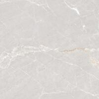 Керамогранит Neodom Rockstone Persian Grey Matt 120x120