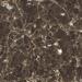 Керамогранит Neodom Sixty Emperador Nuovo Glossy 60x60