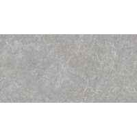 Керамогранит Neodom Techno Matt Mica Grigio Tm 80x160