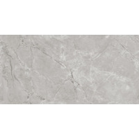 Керамогранит Neodom Techno Matt Siena Grey Tm 80x160