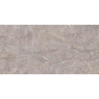 Керамогранит Neodom Techno Matt Silver River Carving 80x160