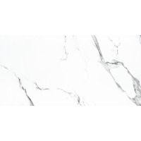 Керамогранит NT Ceramic Bright And Shiny BB612NTT9100P 60x120