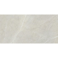 Керамогранит NT Ceramic Bright And Shiny BB612NTT9101P 60x120