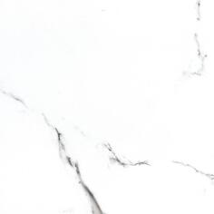 Керамогранит NT Ceramic Bright And Shiny BB6NTT9100P 60x60
