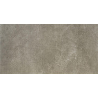 Керамогранит NT Ceramic Loft LC36NTT93002M 30x60
