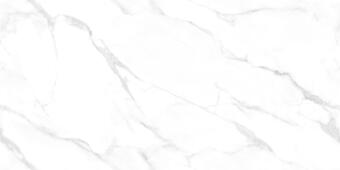 Керамогранит NT Ceramic Marmo Statuario Endless 60x120