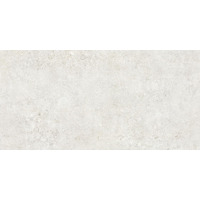 Керамогранит NT Ceramic Terrazzo TZ612NTT9501L 60x120