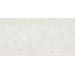 Керамогранит NT Ceramic Terrazzo TZ612NTT9501L 60x120
