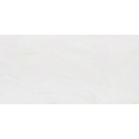 Керамогранит NT Ceramic Zeus ZS612NTT9701P 60x120