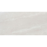 Керамогранит NT Ceramic Zeus ZS612NTT9702P 60x120