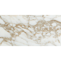 Керамогранит Pamesa Arabescato Rain Gold Luxglass 60x120