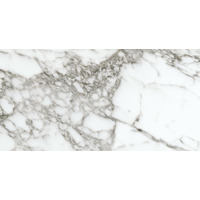 Керамогранит Pamesa Arabescato Rain Pearl 60x120