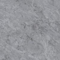 Керамогранит Pamesa Belvedere Perla 60x60