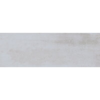 Pamesa Brienz CENIZA 33.3x100