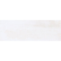 Pamesa Brienz ICE 33.3x100