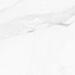 Керамогранит Pamesa Calacatta White 60x60