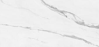 Керамогранит Pamesa Cellini Blanco Matt 60x120