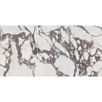 Керамогранит Pamesa Cr Lux Viola Pul 60x120
