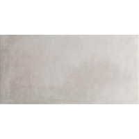 Керамогранит Pamesa Essen Ash 45x90