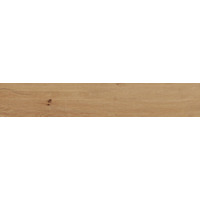 Керамогранит Pamesa Grove Umber 20x120
