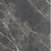 Керамогранит Pamesa Piave Coal Matt 60x60