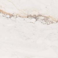 Керамогранит Pamesa Pisa Gold 60x60