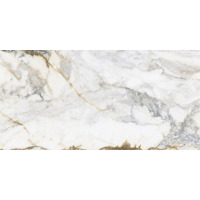 Керамогранит Pamesa Pisa Gold Compacglass 60x120