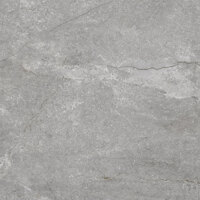 Керамогранит Pamesa Wells PEARL MATT 60x60