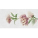 Керамогранит Panaria Zero.3 Glam Colorful B 50x100