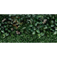 Керамогранит Panaria Zero.3 Glam Greenwall A 50x100
