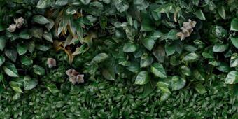 Керамогранит Panaria Zero.3 Glam Greenwall A 50x100