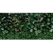Керамогранит Panaria Zero.3 Glam Greenwall A 50x100
