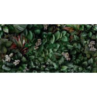 Керамогранит Panaria Zero.3 Glam Greenwall B 50x100