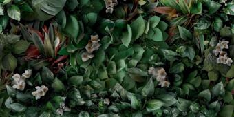 Керамогранит Panaria Zero.3 Glam Greenwall B 50x100